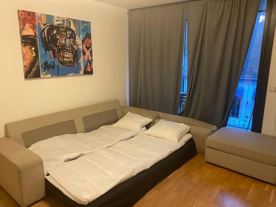 Leilighet Midt I Oslo Sentrum 2 Soverom Og Stue 外观 照片